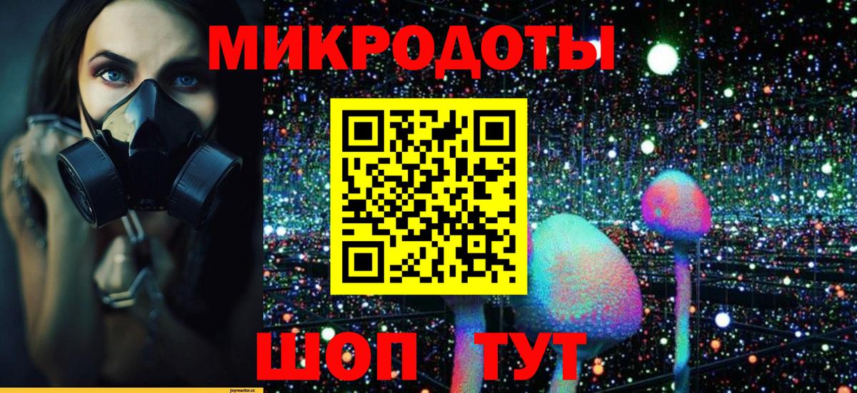 Галлюциногенные грибы мухоморы  Галлюциногенные грибы прущие грибы  магазин продажи наркотиков  Вход с VPN  Нижнеудинск 